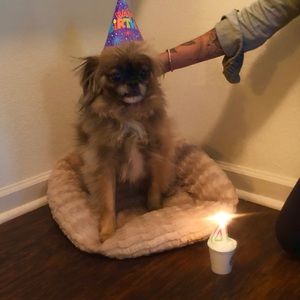 Meet your Posher, Desi